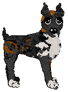 Profile image of Poppyhill's American Graffiti