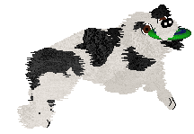 Come Bye's Cosmic Velocity — “Cyn”