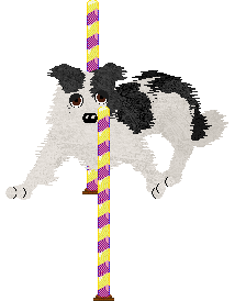 Come Bye's Cosmic Velocity — “Cyn”