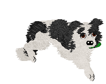 Come Bye's Cosmic Velocity — “Cyn”