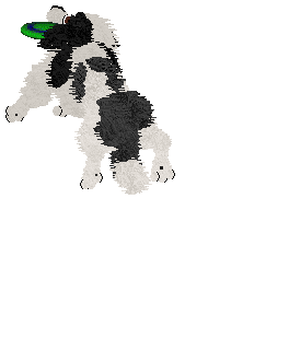 Come Bye's Cosmic Velocity — “Cyn”