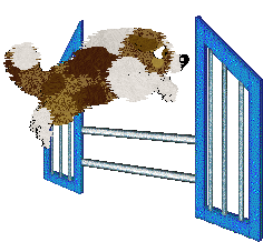 Spellbound's Coffee Stains — “Dunkin”