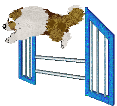 Spellbound's Coffee Stains — “Dunkin”