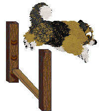 Spellbound's Pinch of Pepper — “Pepper”