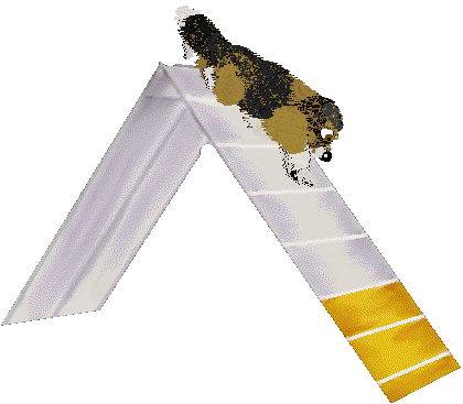 Spellbound's Pinch of Pepper — “Pepper”