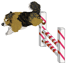 Spellbound's Pinch of Pepper — “Pepper”