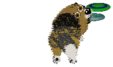 Spellbound's Pinch of Pepper — “Pepper”