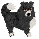 Spellbound's Purple Viking — “Tater”