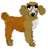 Sungraze Draco Meteor — “Goochomp”