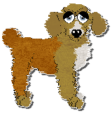 Profile image of Sungraze Draco Meteor