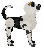 Mako's Duracell Bunny — “Kilowatt”