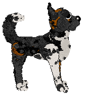 Poppyhill's November Rain at Ephemera — “Noyvi”