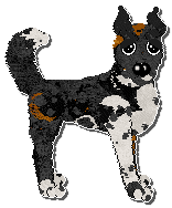 Profile image of Poppyhill's November Rain at Ephemera