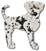 Profile image of FDL's In Stereo Sound at Ephemera