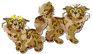 Profile image of Tabbloza Kaleidoscope Cats