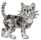 Profile image of Witz Model Of The Solar System