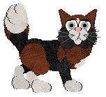 Calluna's Shape of My Heart — “Donna”