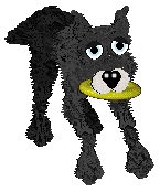 CatCreature's Invisibility Cloak — “Cloak”