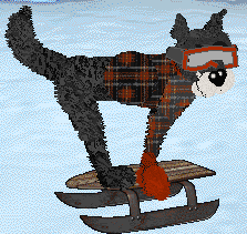 CatCreature's Invisibility Cloak — “Cloak”