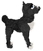 Sungraze/Dh's Dirt Is a Food Group — “Mudsnack”