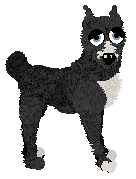 Sungraze/Dh's Dirt Is a Food Group — “Mudsnack”