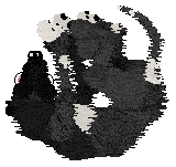 Krunchez/Dh's Night Stretched Thin — “Shade”