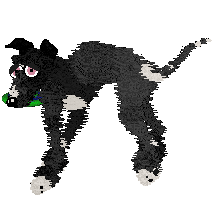 Krunchez/Dh's Night Stretched Thin — “Shade”