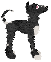 Krunchez/Dh's Night Stretched Thin — “Shade”