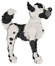 Hash/Dh's Boogie Fever — “Boogie”