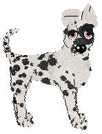 HK/Dh's Belle of the Ballroom — “Masquerade”