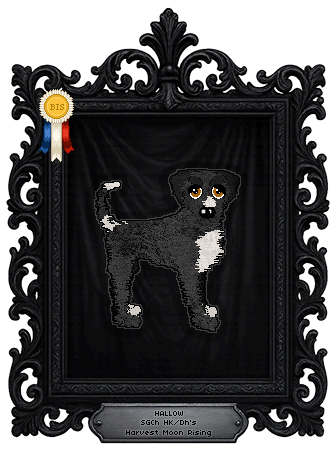 Profile image of HK/Dh's Harvest Moon Rising