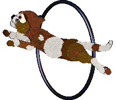 Xoops/Witz's Territorial Nature — “Cardinal”