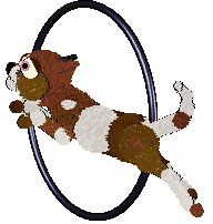 Xoops/Witz's Territorial Nature — “Cardinal”