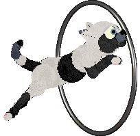 Witz's Novel Reverie — “Misery”