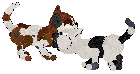 Witz's Novel Reverie — “Misery”