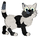 Witz's Novel Reverie — “Misery”