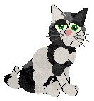 Profile image of Arrow's On The Other Side