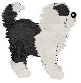 NSP's Loud & Proud at Vanilla — “Moose”