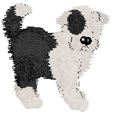 NSP's Loud & Proud at Vanilla — “Moose”