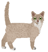 Macavity's Smoked Oyster — “Kilpatrick”