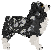 Profile image of Torleiv Ghost of the Fjell