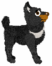 Pachelbel's In Search of Answers — “Query”