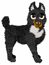 Profile image of Pachelbel's In Search of Answers