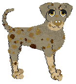 Sz's Milky Way at Wild Road — “Milky Way”