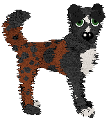 Poppyhill's Lazybug at Wild Road — “Lazybug”