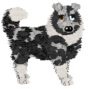 Profile image of Wild Road's Bluey