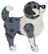 Wild Road's London Tour — “London”