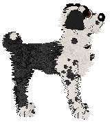 Wild Road's Pompeius Magnus — “Magnus”