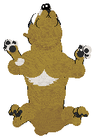 Witz/Mockingbird's Soft Drink Stall — “Bird”