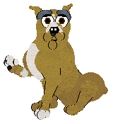 Witz/Mockingbird's Soft Drink Stall — “Bird”